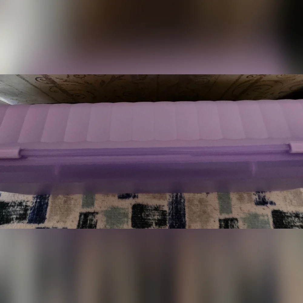 Tupperware Lunch N Things Container NWT